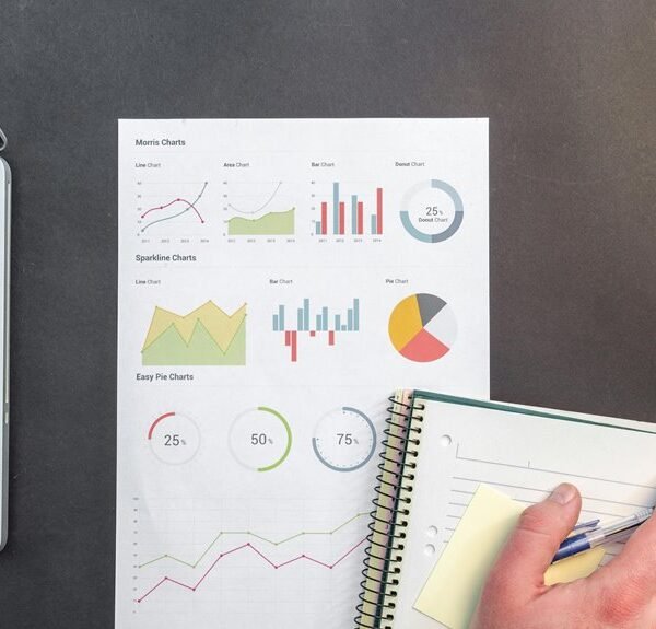 corporate data monitoring report