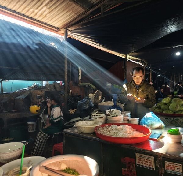 market activity analysis report