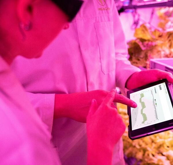 enhance your digital growth