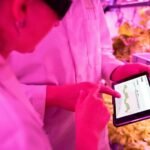 strengthen your digital growth